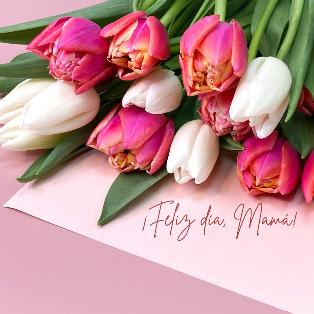 Tulpenstrauss Muttertag